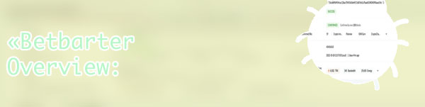 Betbarter withdrawal paid but not received